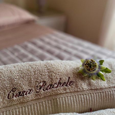Casa Rachele Apartment Bardolino Eksteriør billede