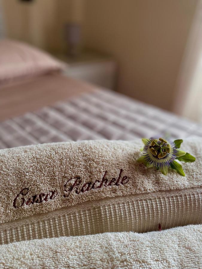 Casa Rachele Apartment Bardolino Eksteriør billede